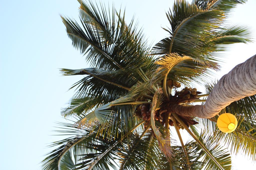 Sea Star Resort أغوندا المظهر الخارجي الصورة